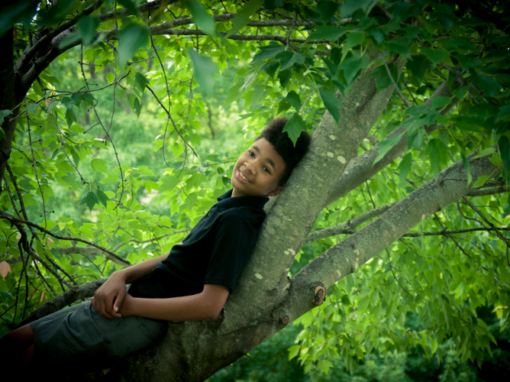 Individual Portrait 1